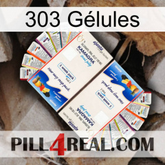 303 Gélules kamagra1